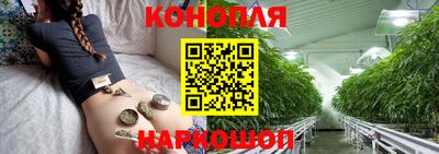 стафф Нальчик