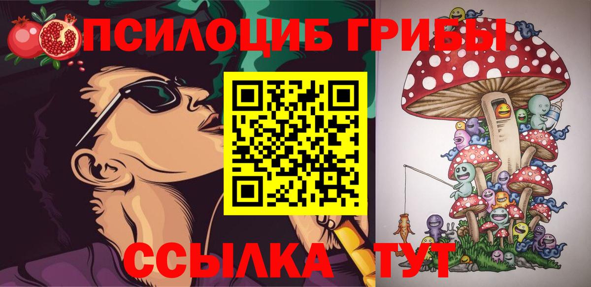 Георгиевск  Псилоцибиновые грибы GOLDEN TEACHER  Вход с VPN  Галлюциногенные грибы мицелий 